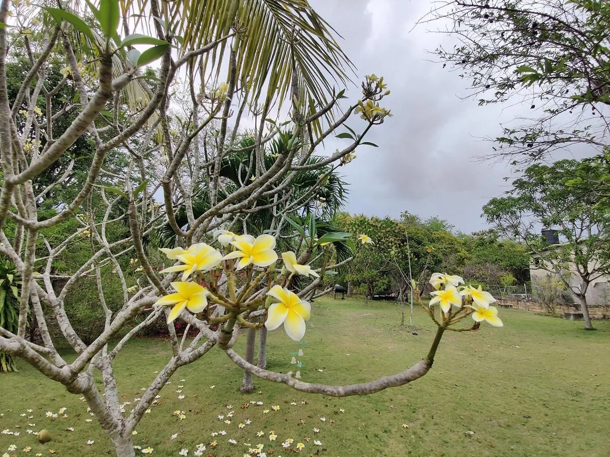 Villa Havana Negril Guest house