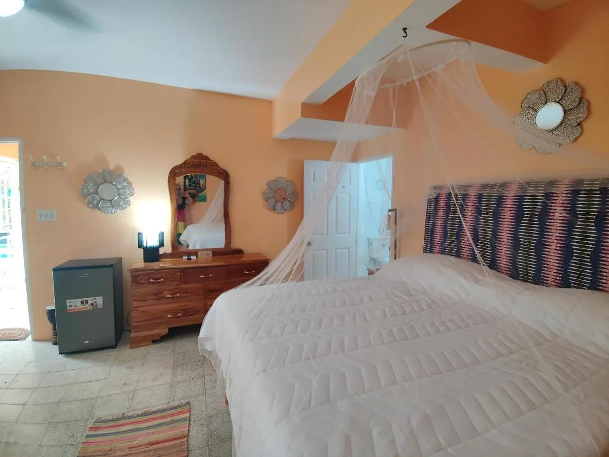 Villa Havana Negril Guest house